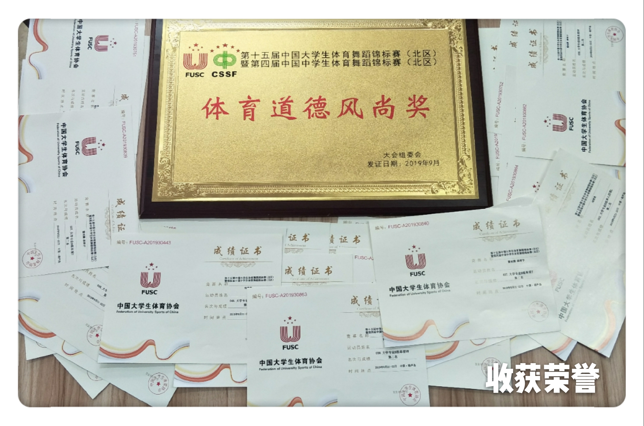 qy球友会